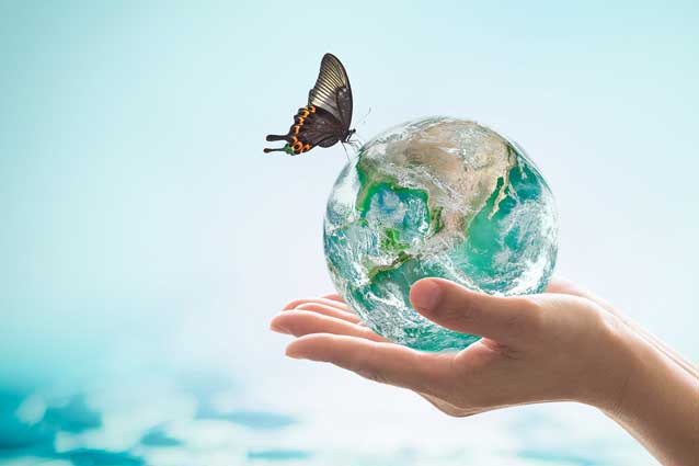 image of globe and butterfly, world water day